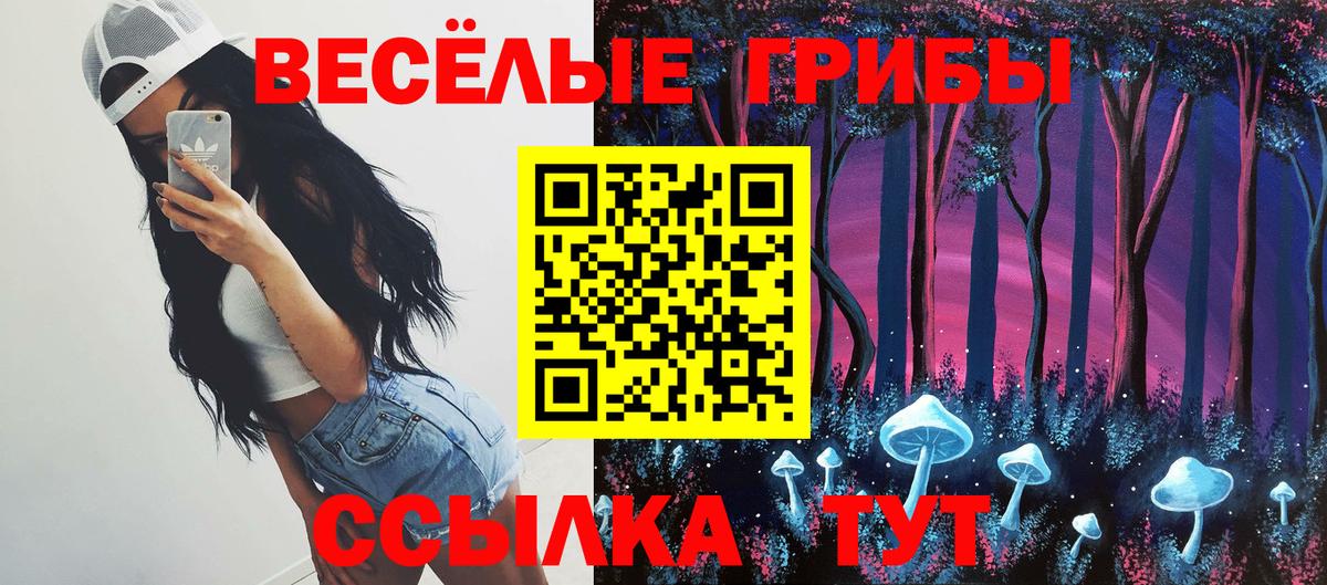 Галлюциногенные грибы мицелий  Вход с VPN  Нововоронеж  Псилоцибиновые грибы GOLDEN TEACHER 