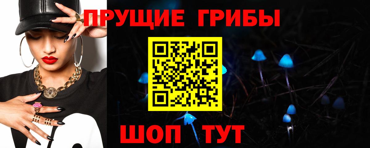 Галлюциногенные грибы Psilocybe Нововоронеж